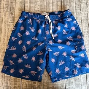 SOVEREIGN CODE Men’s swim trunks Sea turtles Lined